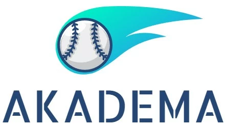 Cheap Baseball Bats Store