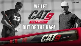 Marucci CAT9 Connect BBCOR Baseball Bat: MCBCC9 - Image 10